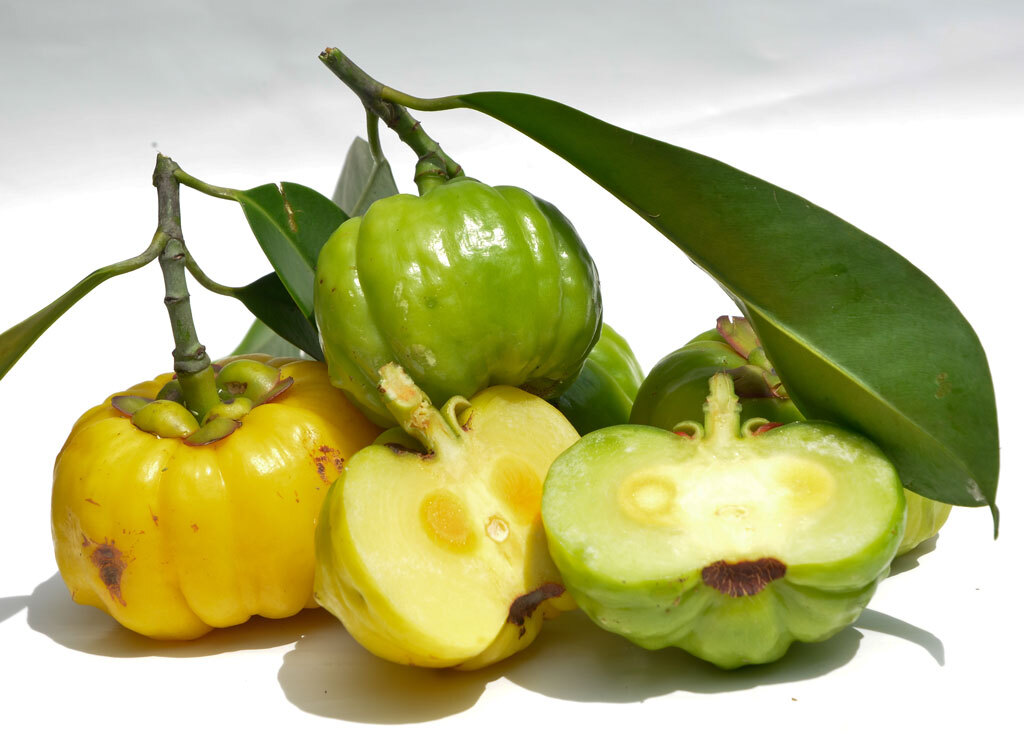 Garcinia cambogia