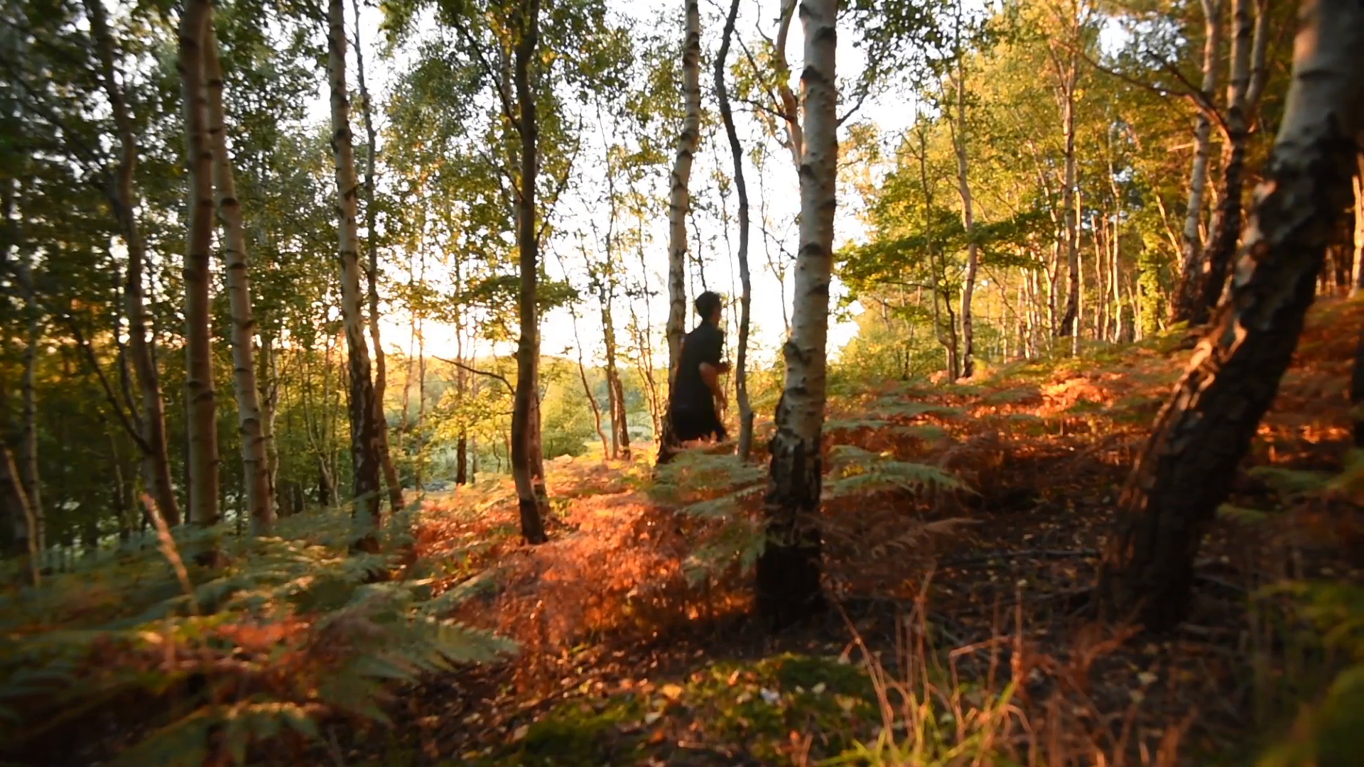 Image result for boy running scared in the woods