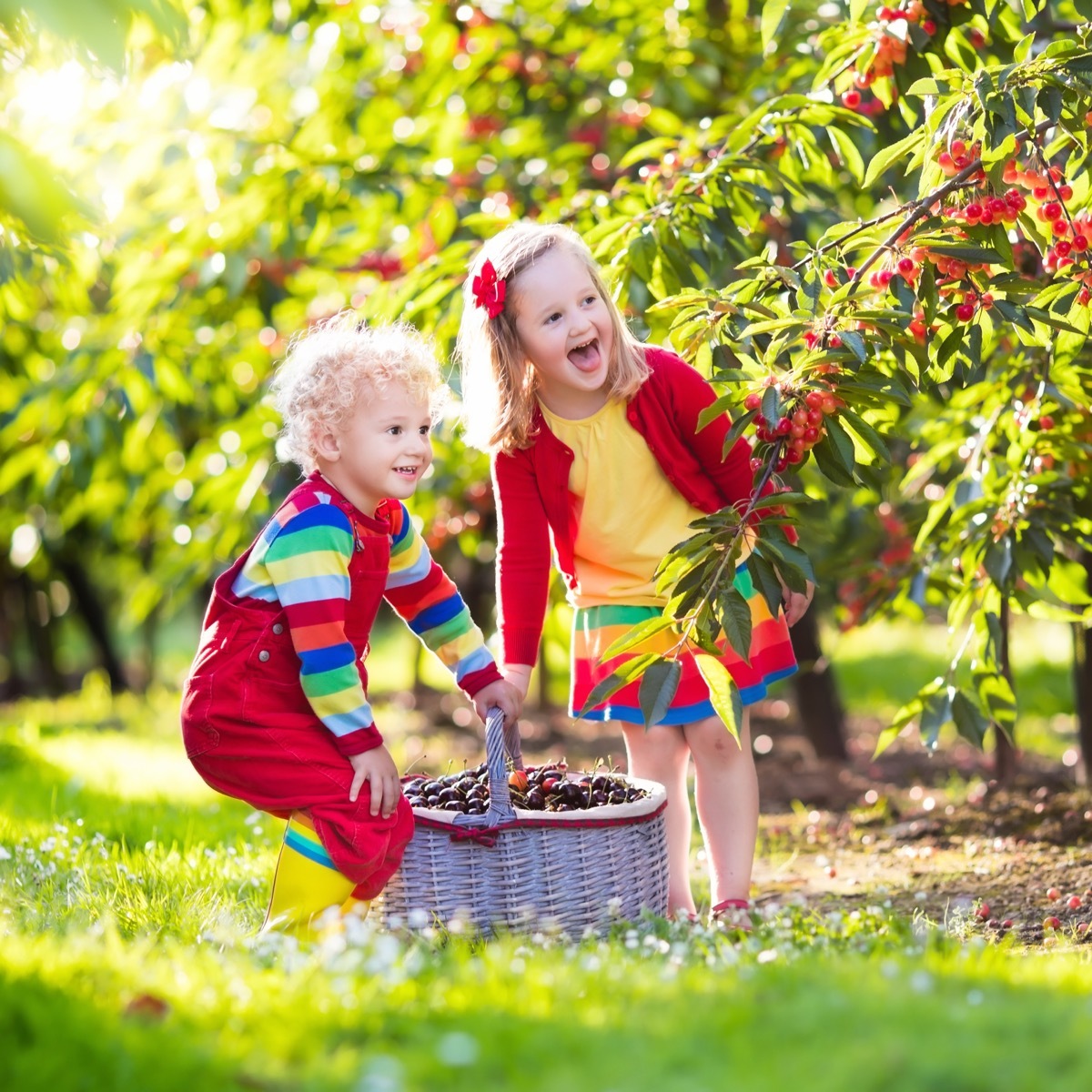 Kids berry picking and smiling on farm