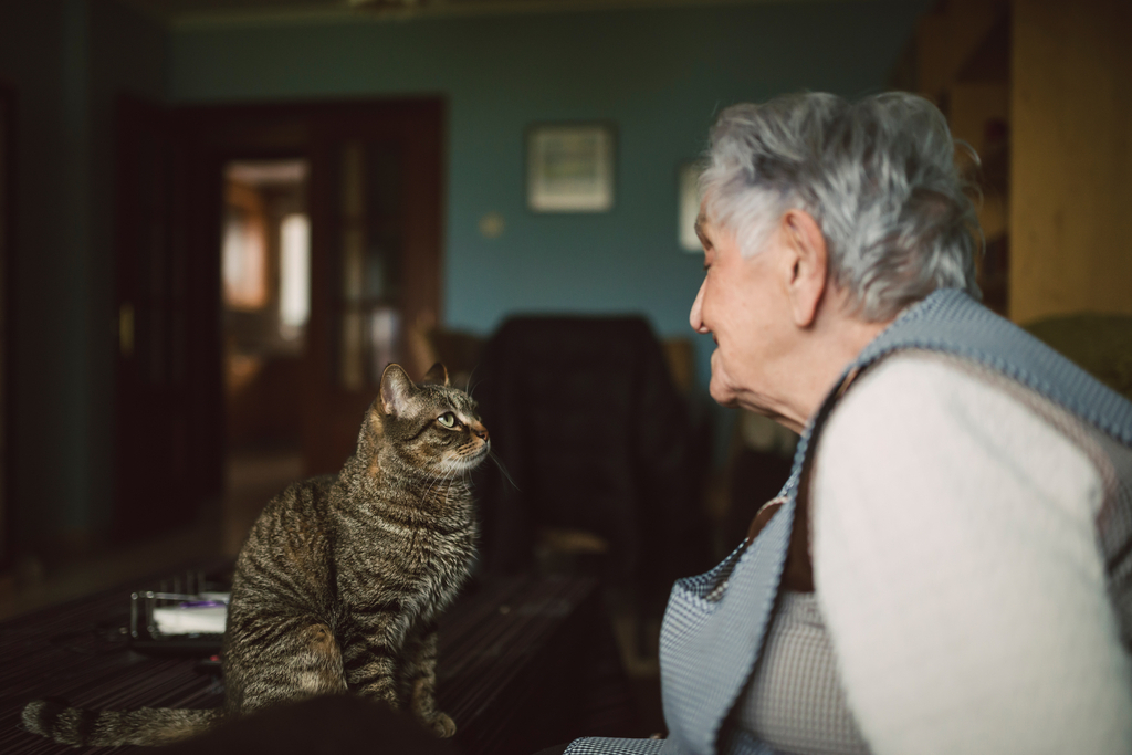 Cat and Owner Eye Contact