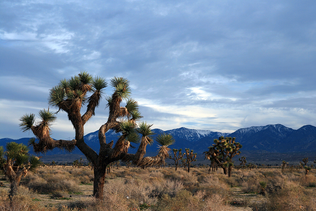 Palmdale, CA, desert, worst singles scenes, longest commutes, commute