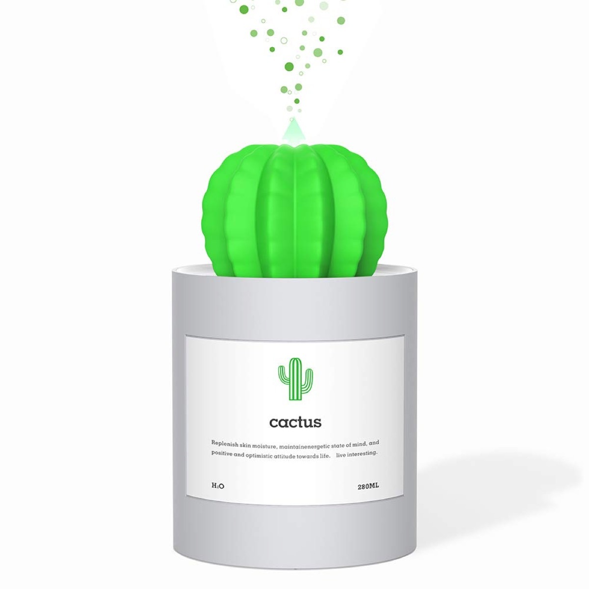 amuseNd cool mist cactus humidifier