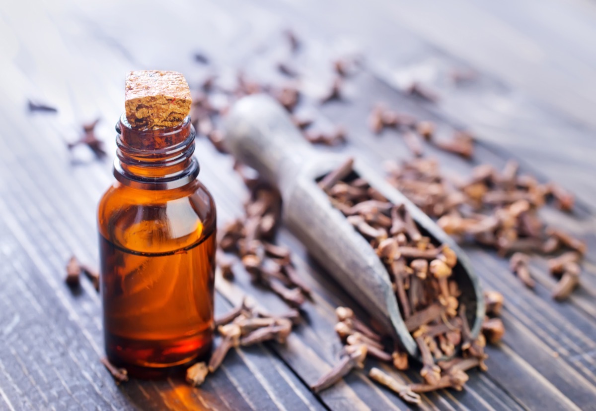 clove oil