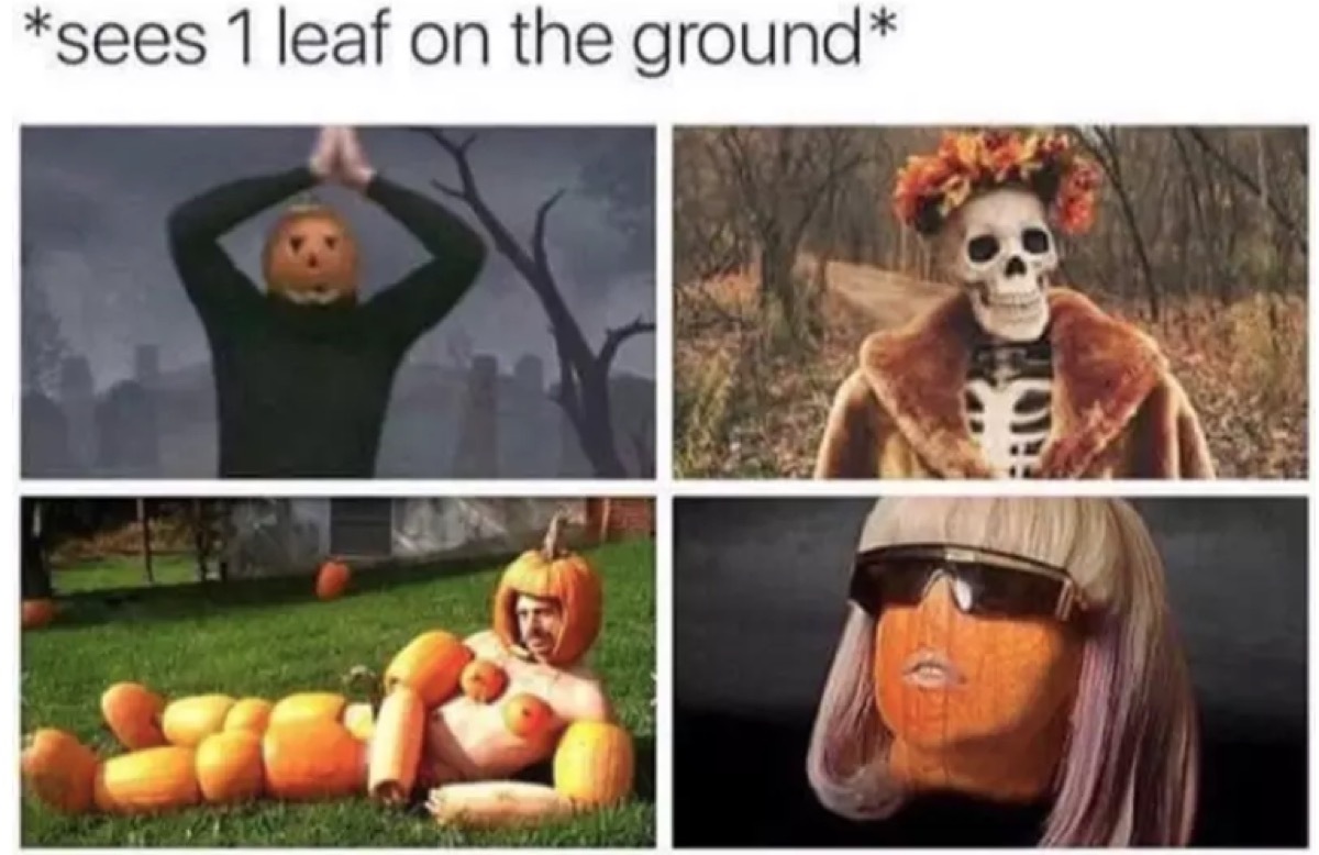 fall memes