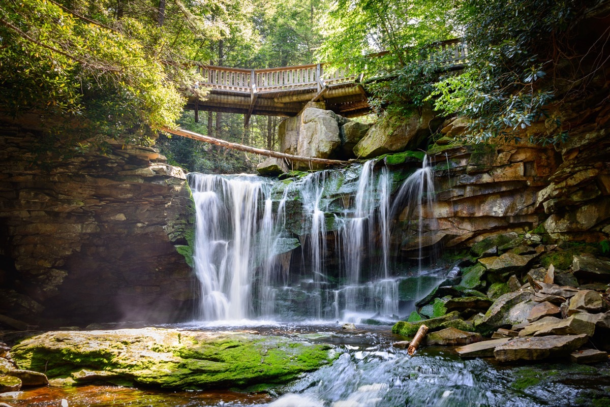 waterfall with a bridge over it in Blackwater Falls State Park