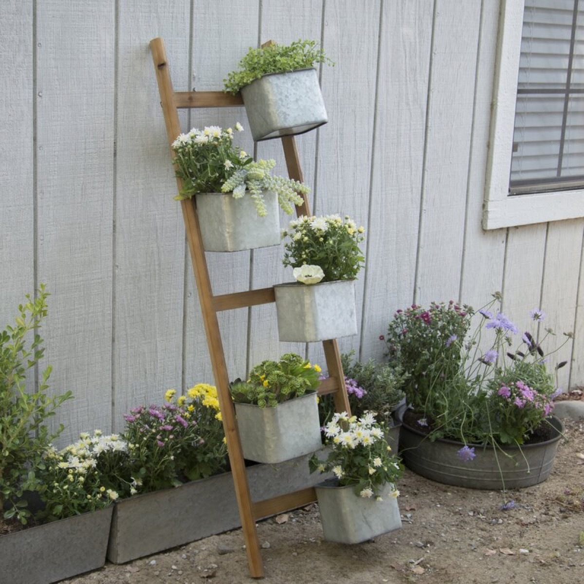 wooden ladder with plants on it outdoors