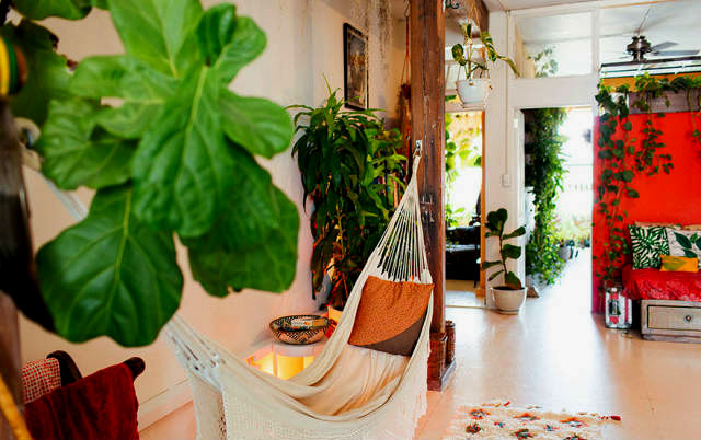 a-girl-with-a-green-thumb-500-plants-in-one-apartment-07