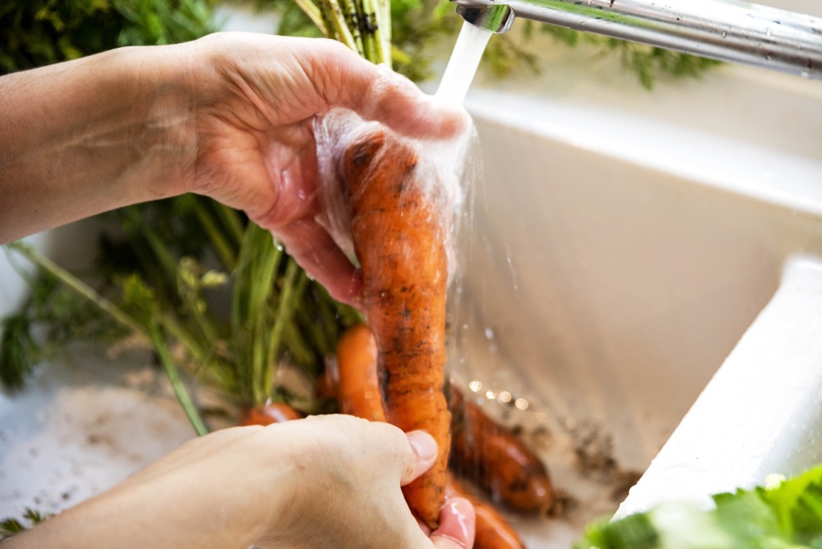 Home grown freshly harvested carrots being washed under a tap in a domestic kitchen