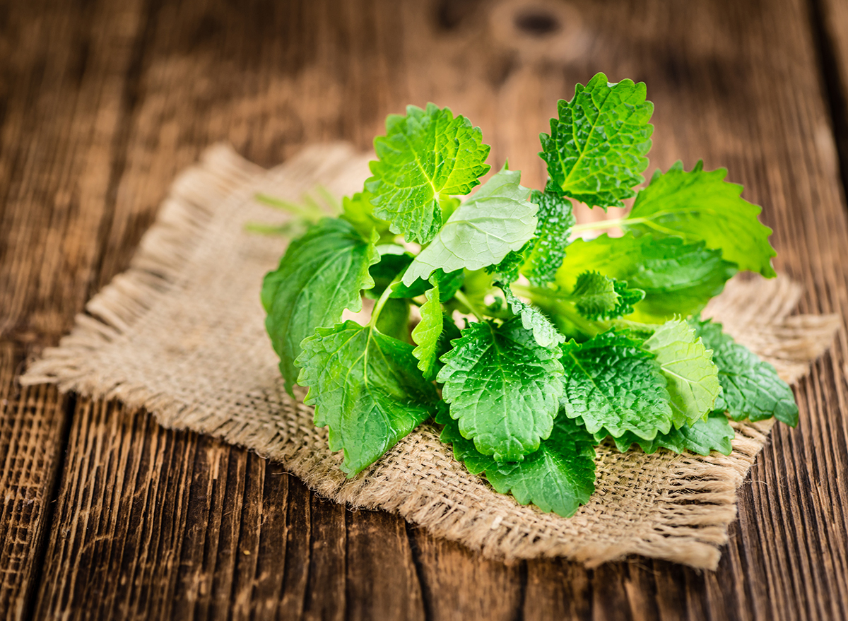 fresh lemon balm