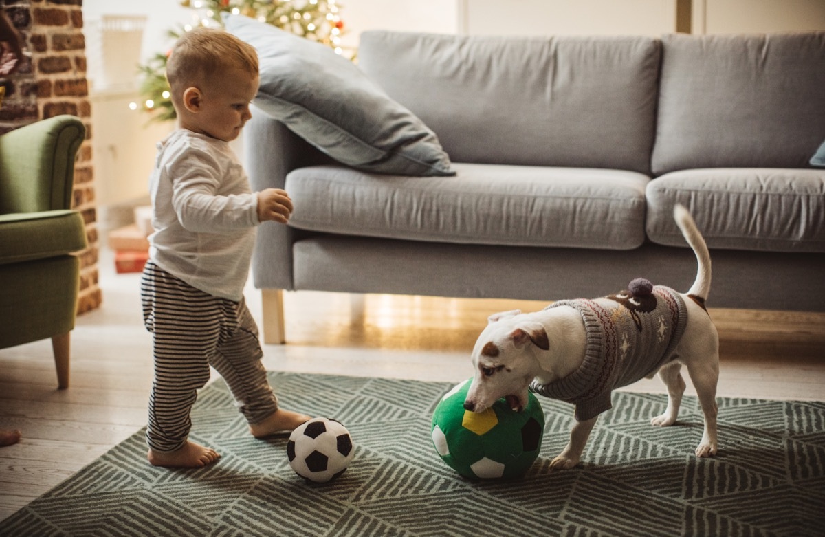 Baby playing soccer with dog