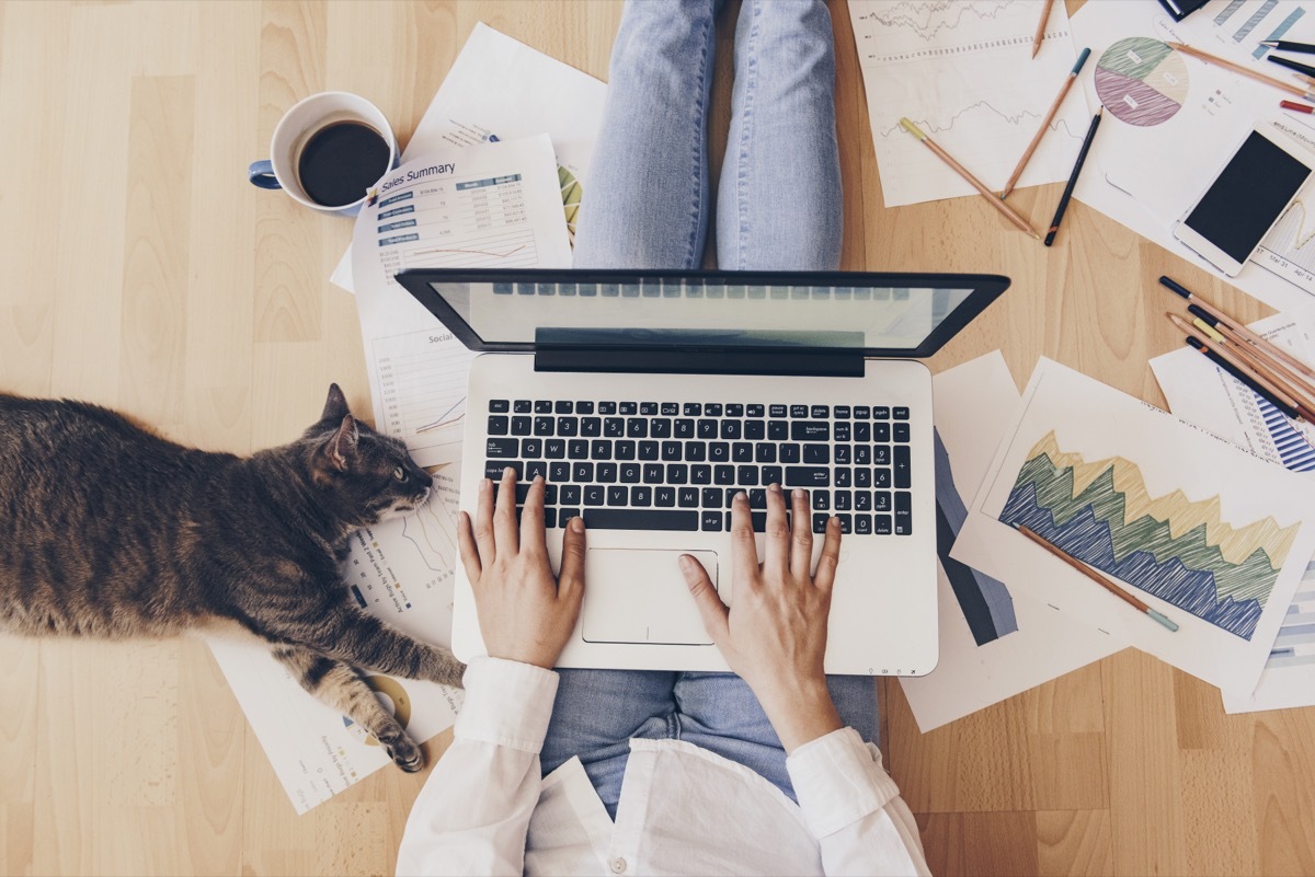 woman working at home with cat near