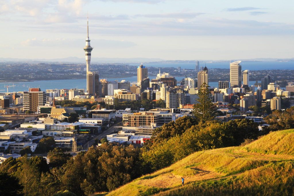 skyline view of auckland from a grassy hill