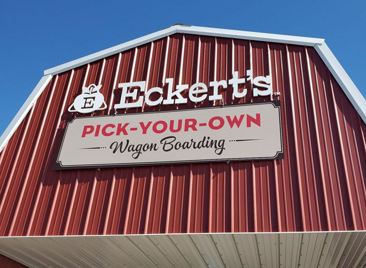 eckerts belleville illinois