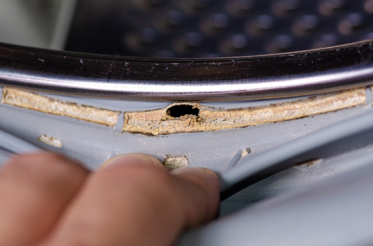 mold in washing machine seal, things housekeepers hate