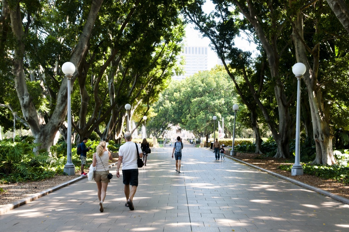 People in a park