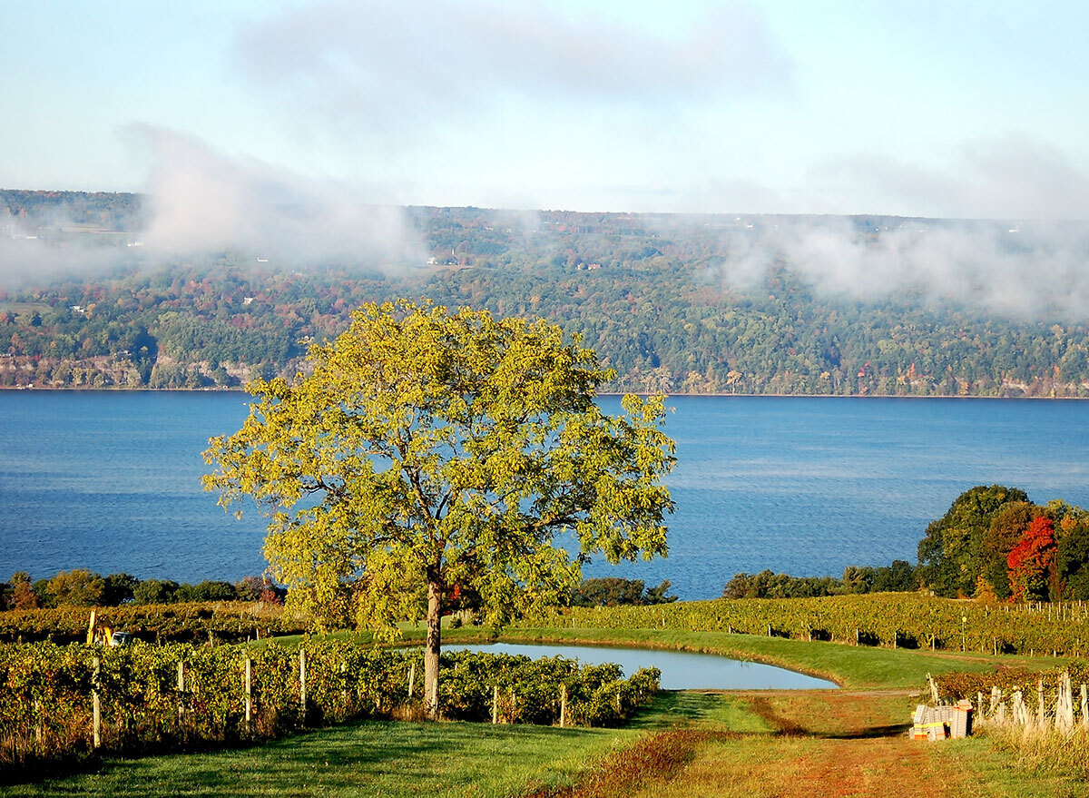 finger lakes new york best food city