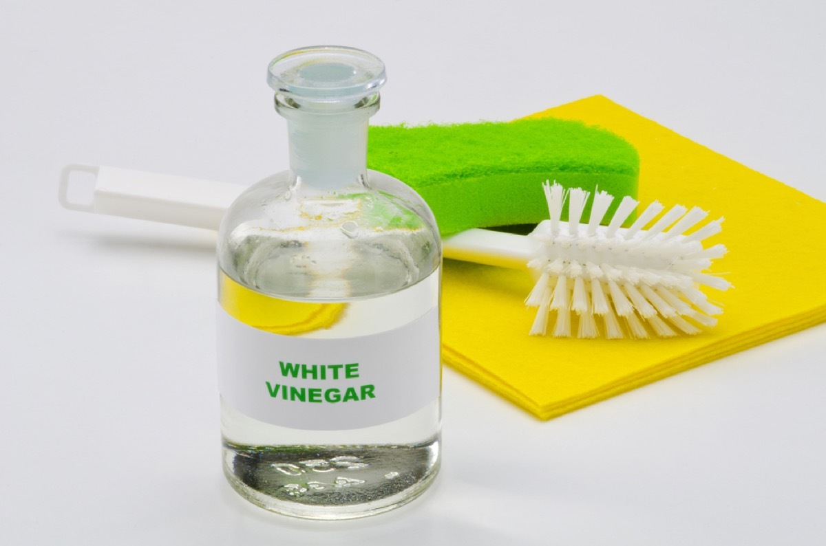 white vinegar and scrub brush