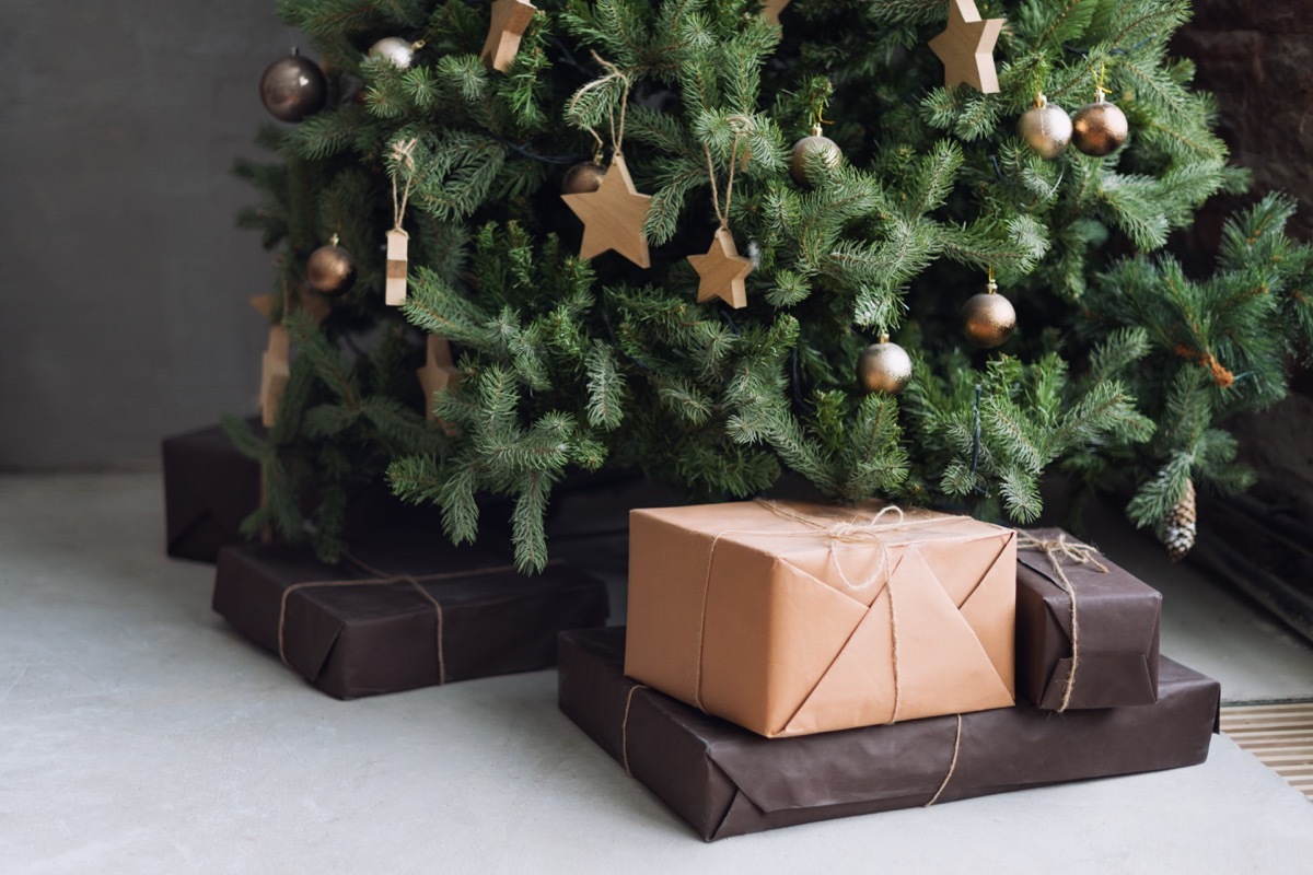 closeup of the bottom of a christmas tree