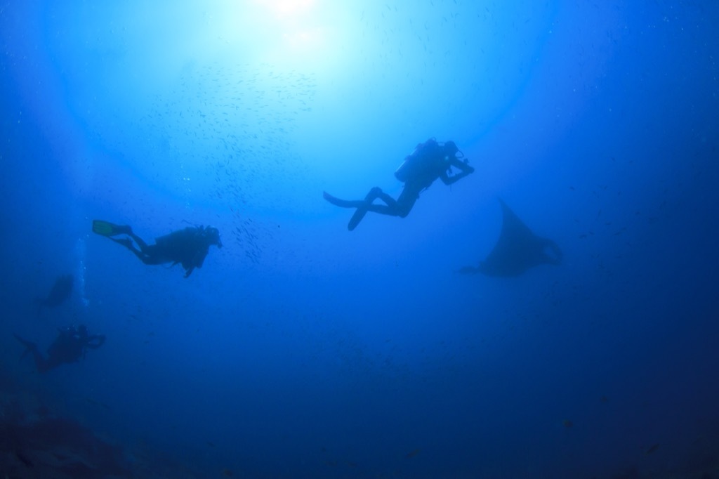 scuba divers under water