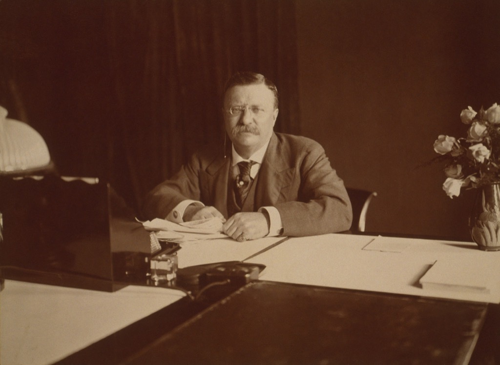 Theodore Roosevelt