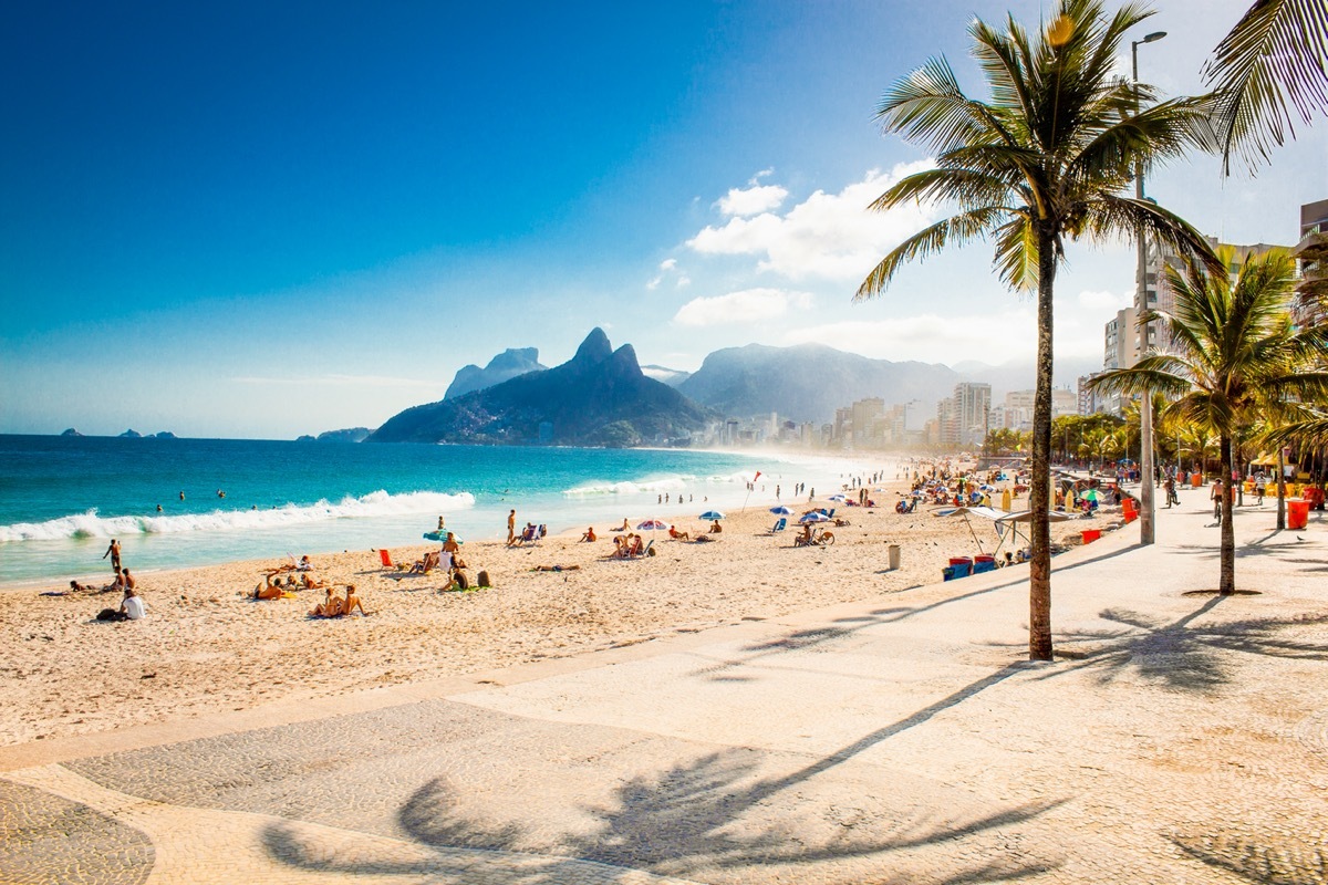 beach and palm trees in rio de janeiro