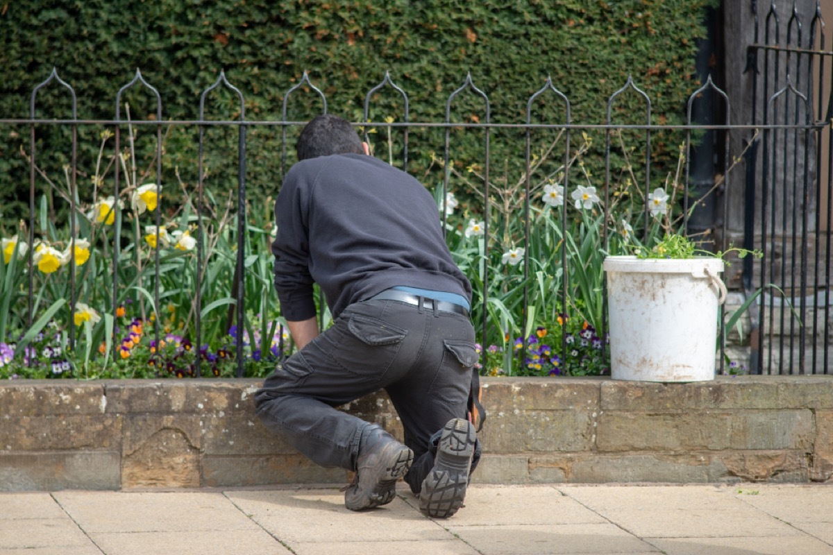 young man in black pants and black shirt planting through the fence on an urban street