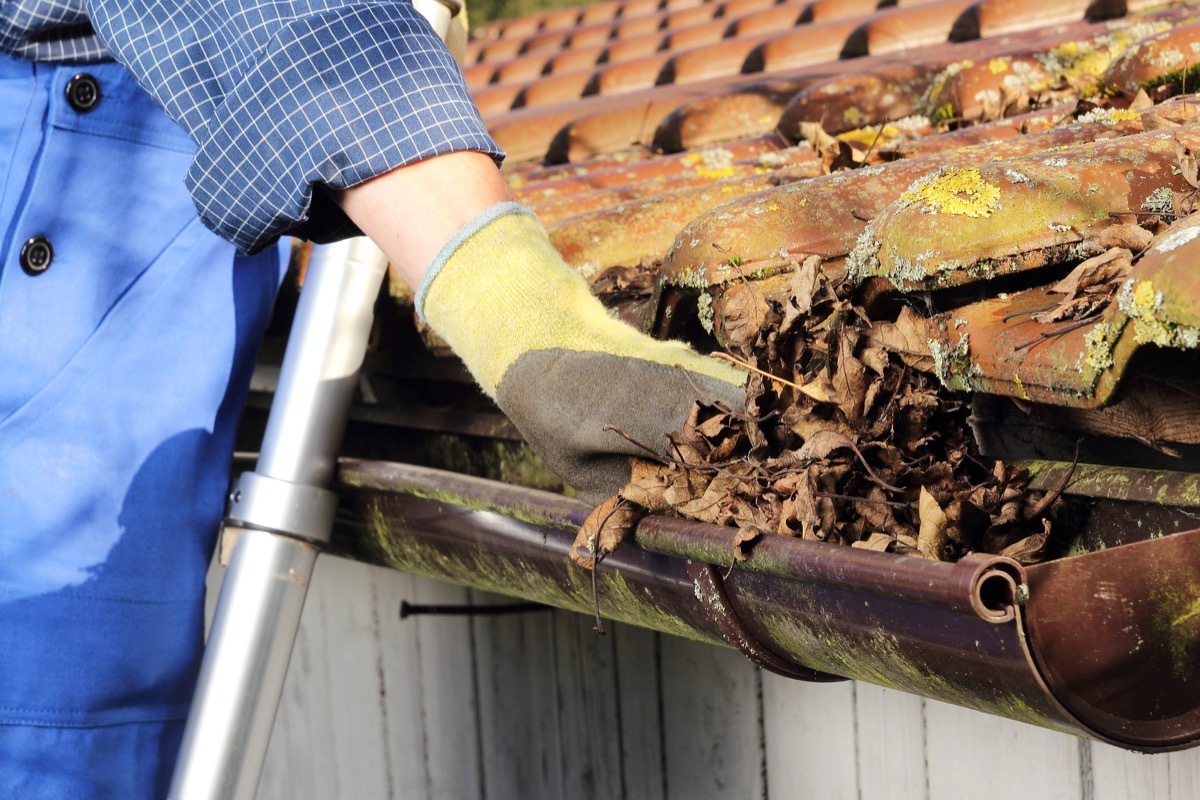 gutter full of leaves