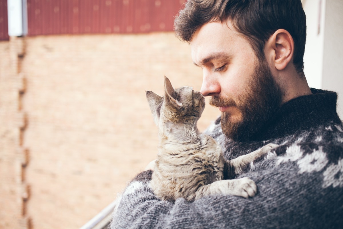 cat showing affection to answer with a kiss on the nose