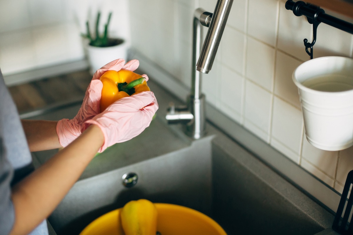 Hands in gloves holding pepper, washing vegetables during virus epidemic. Woman in pink hands washing fresh vegetables, preparing for cooking meal in modern kitchen