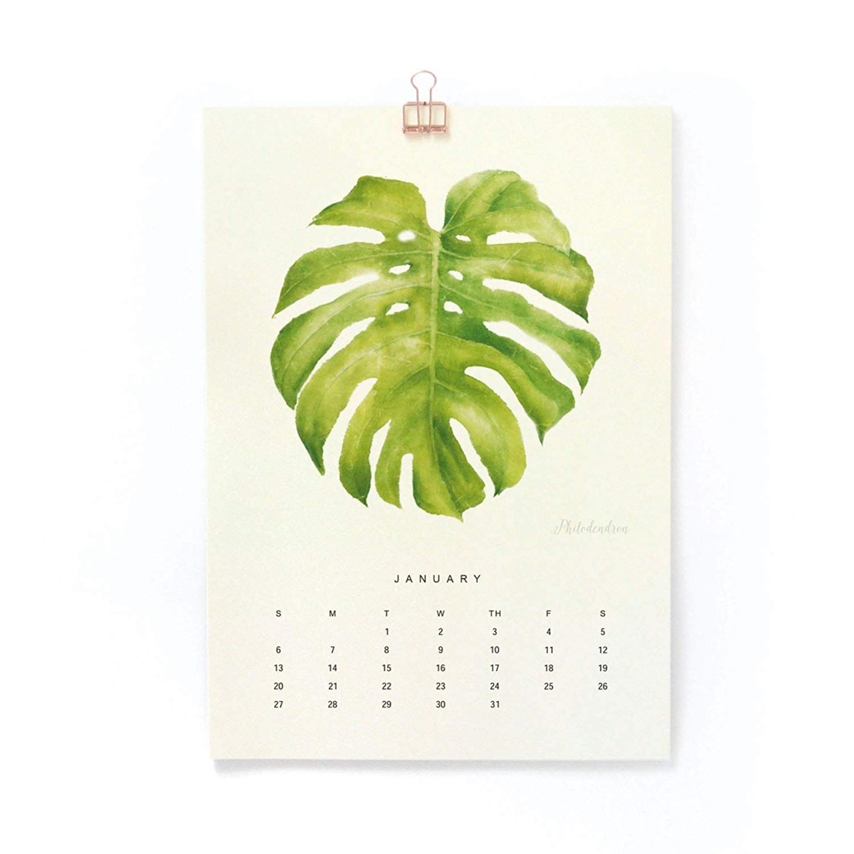 Watercolor Plant Calendar {Handmade Items From Amazon}