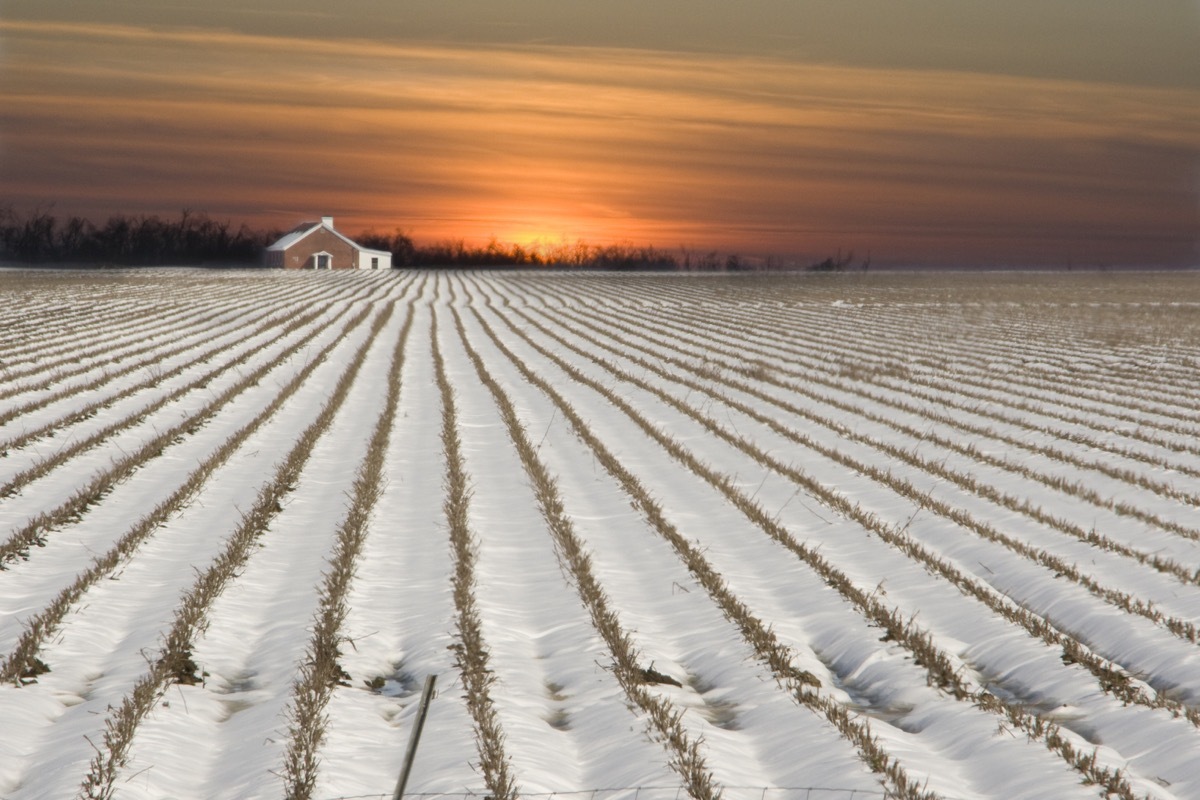 Arkansas field covered in snow