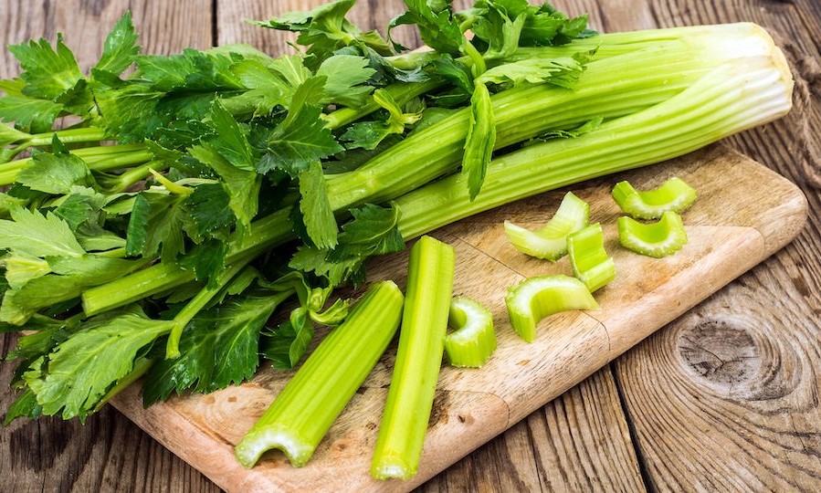 Celery | 10 Foods With Almost Zero Calories | Her Beauty