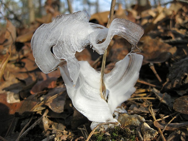 12. Frost Flowers