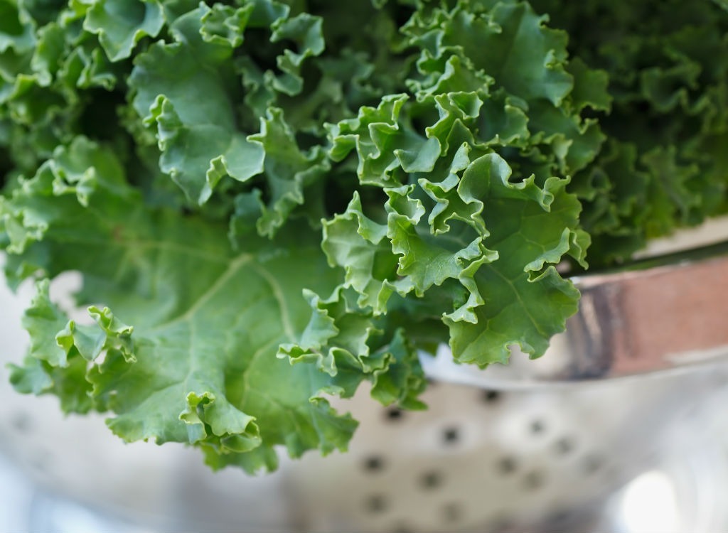 Biggest Loser weight maintenance kale