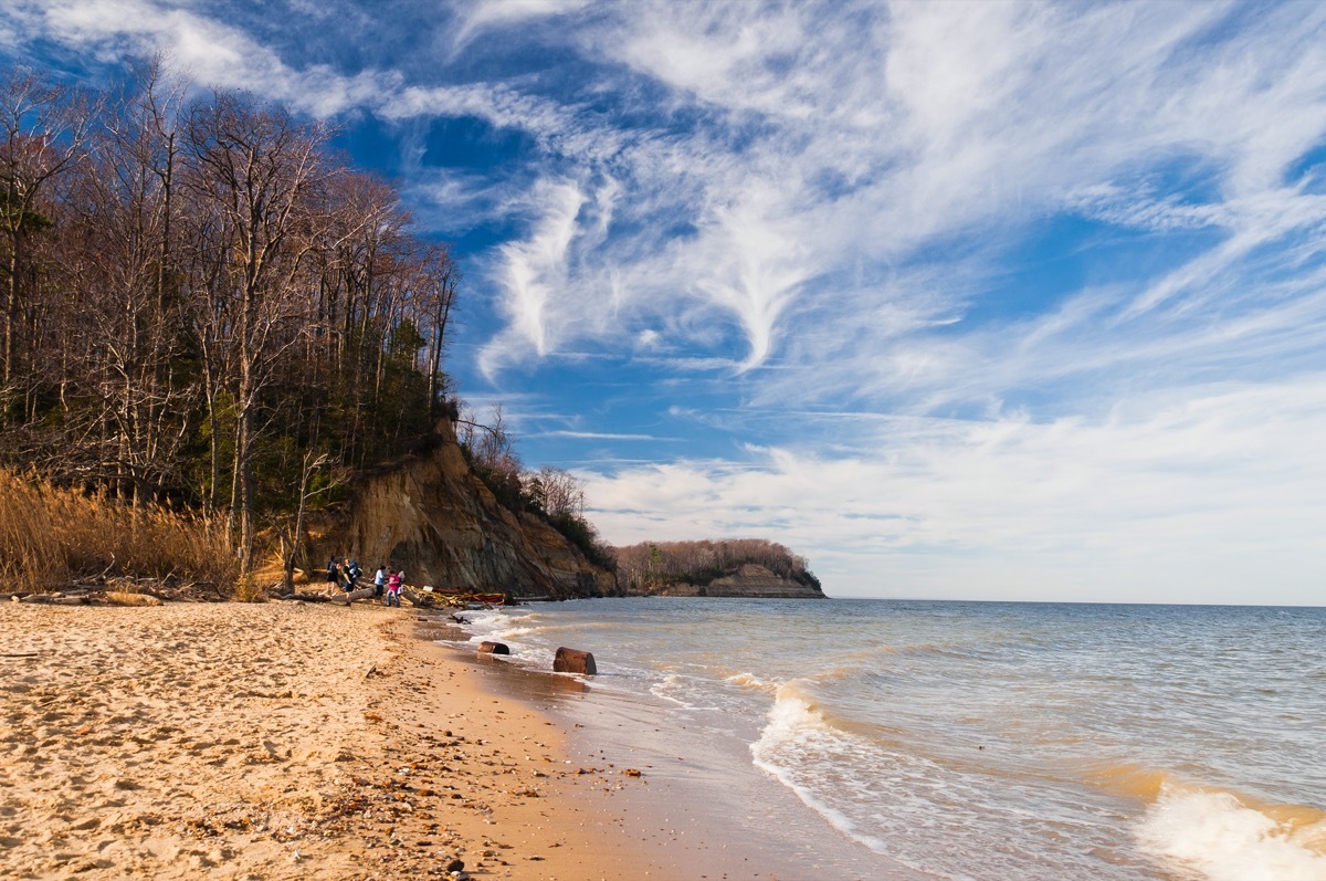 people at a beach in Calvert Cliffs State Park