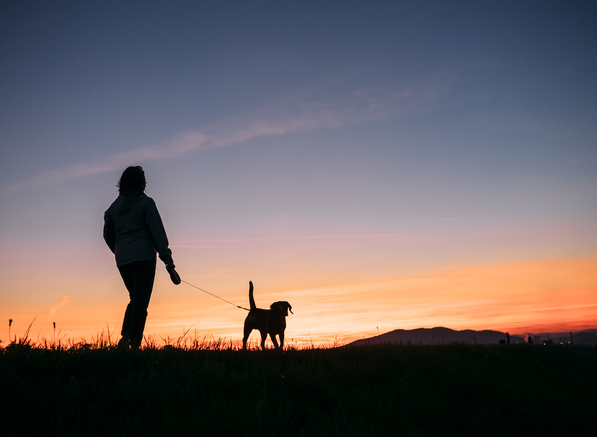 woman-walking-dog-evening-walk-benefits