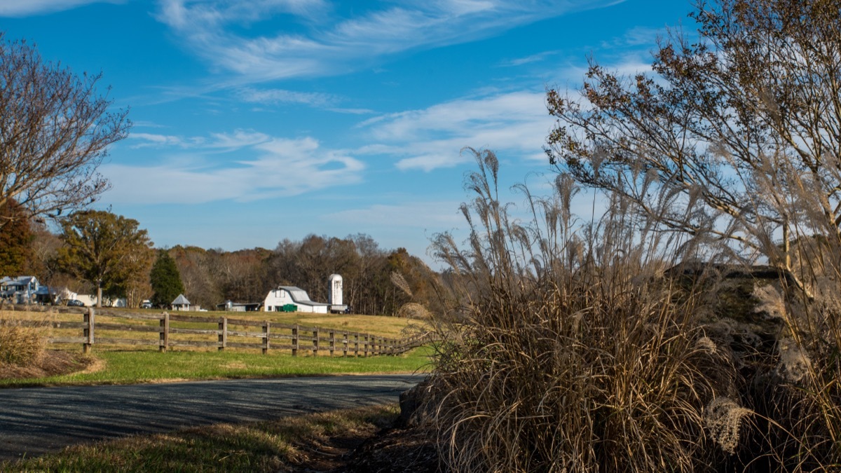 Orange County North Carolina