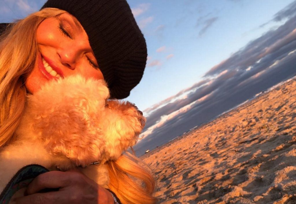 Christie Brinkley celebrities who look like their pets