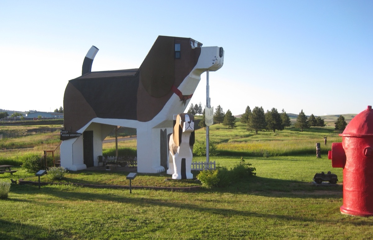 A hotel room shaped like a dog