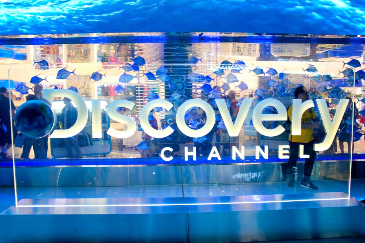 discovery channel logo