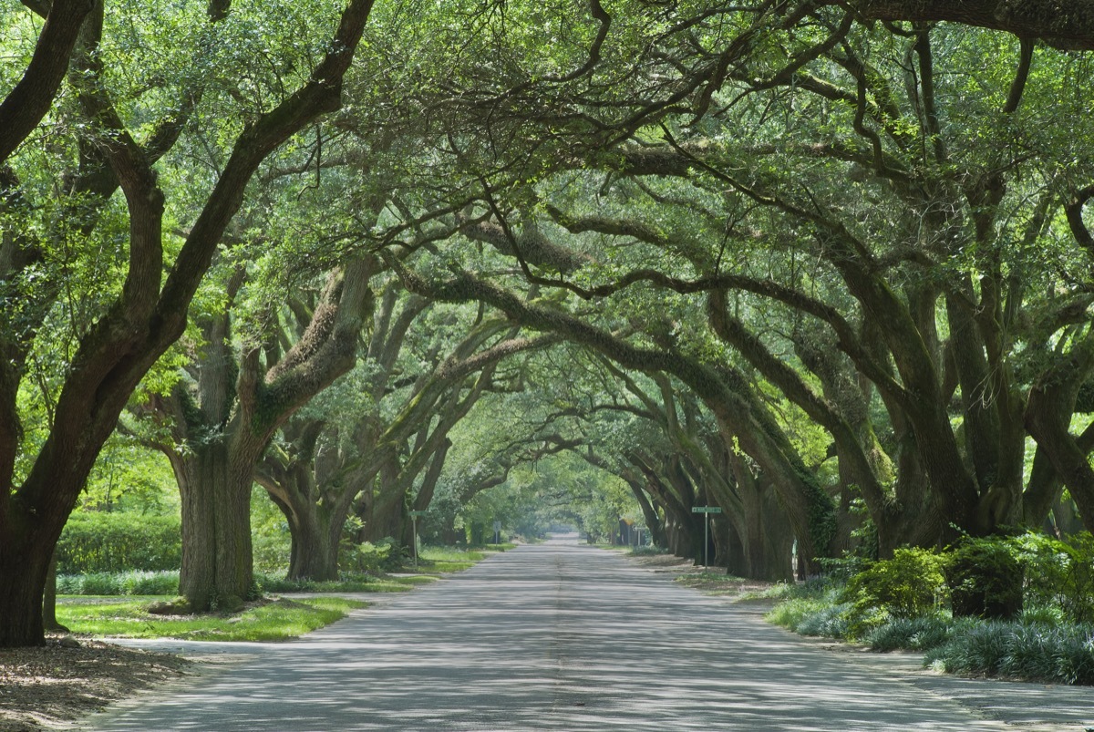 south boundary road south carolina