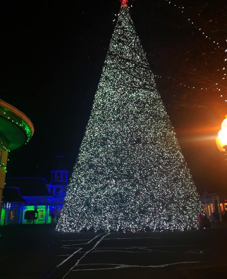 Connecticut Lake Compounce State Christmas Tree 