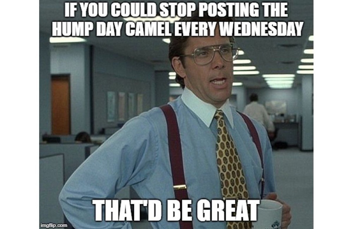 hump day meme office, hump day memes