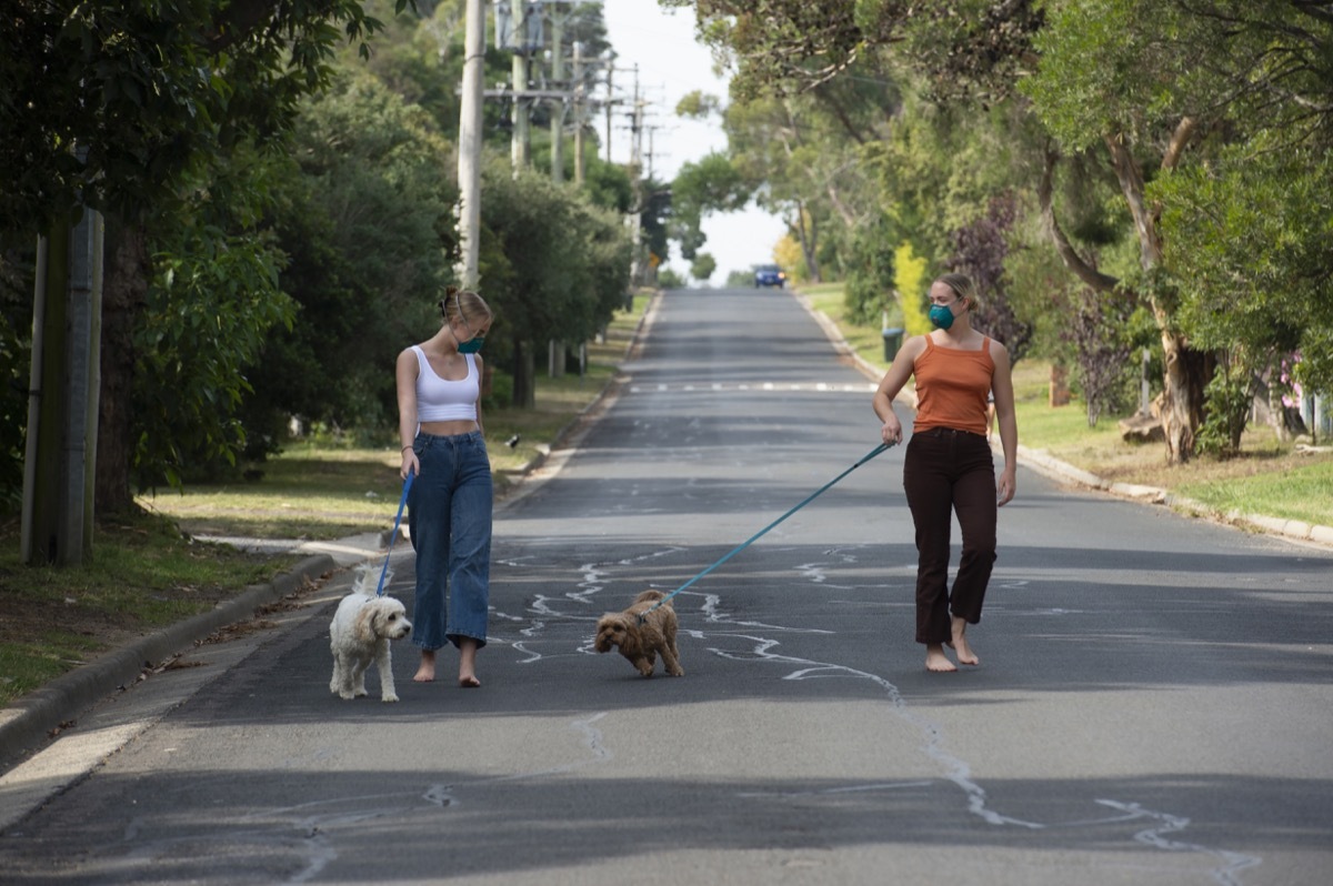 Two women using social distancing in the community. Family Pets, and living in lockdown.