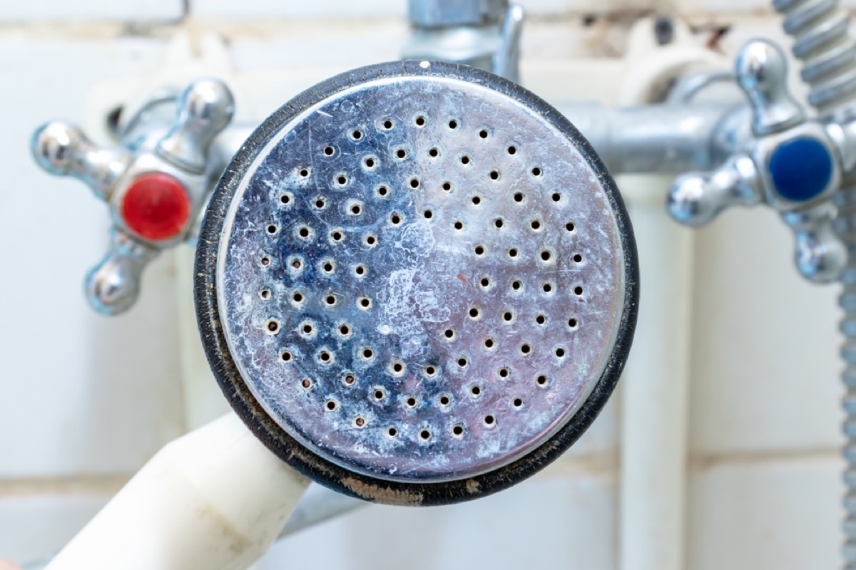 dirty shower head, old school cleaning tips