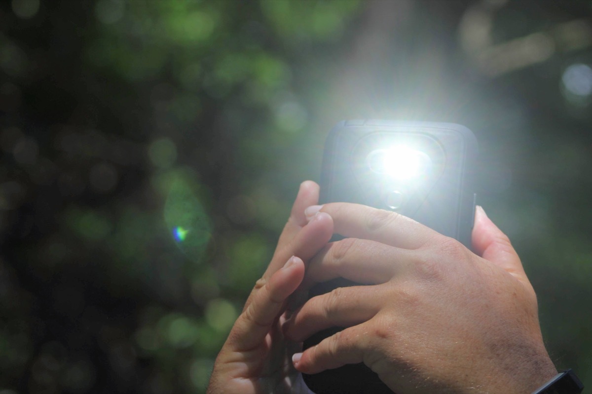 A man holding his cell phone turns on its flash while in the forest