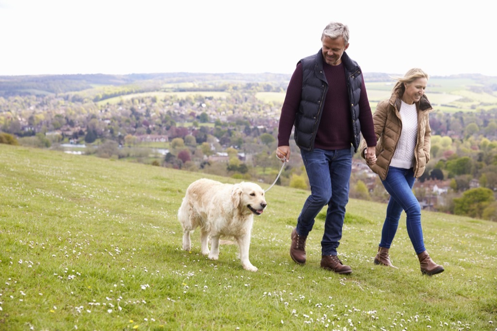 old couple walking dog, long marriage tips