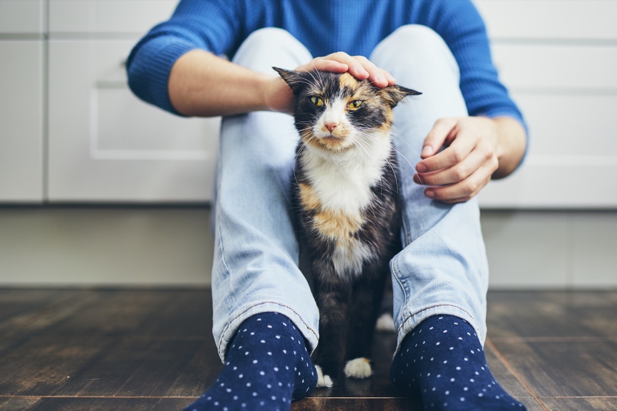 a man sitting on the floor petting his cat