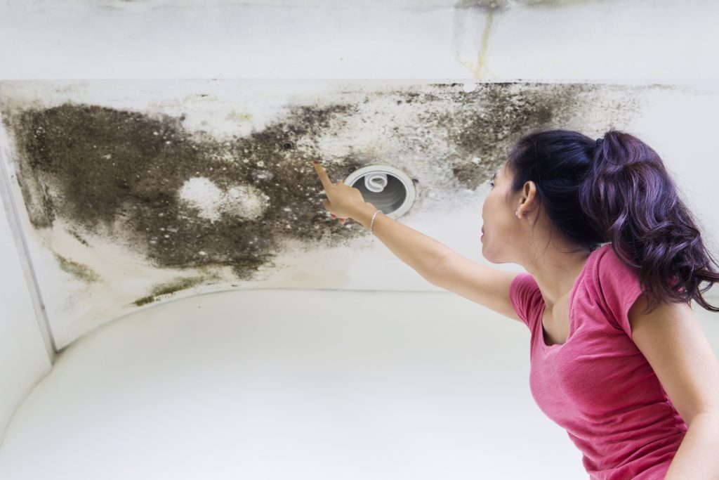 Woman Repairing Home