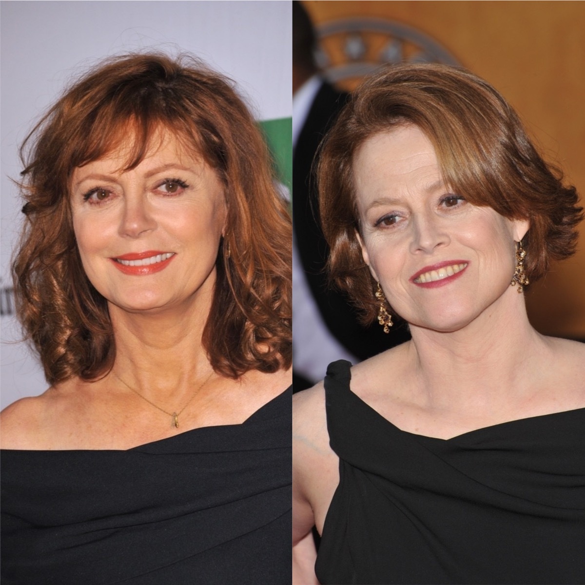 Susan Sarandon and Sigourney Weaver